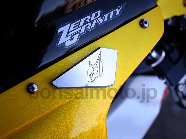 TRIUMPH 675 (13-14) 675R(13-14) ミラーエリミネーター（ミラーブロックオフ）全5色 DRIVEN