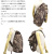 AVIREX正規取扱店BOOTSMAN