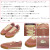 LACOSTE(ラコステ)正規取扱店