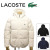 LACOSTE(ラコステ)正規取扱店