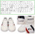 LACOSTE(ラコステ)正規取扱店