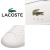 LACOSTE(ラコステ)正規取扱店