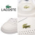 LACOSTE(ラコステ)正規取扱店