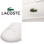 LACOSTE(ラコステ)正規取扱店