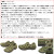 MERRELL(メレル)正規取扱店