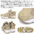Reebok正規取扱店BOOTSMAN