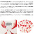 seditionaries正規取扱店BOOTSMAN