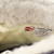 SOREL(ソレル)正規取扱店