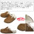 VANS(ヴァンズバンズ)正規取扱店