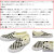VANS(ヴァンズバンズ)正規取扱店
