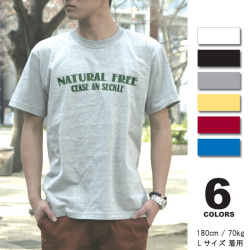 【大きいサイズ / XXL / XXXL】【3L 4L】【まとめ買割引・Tシャツフェスタ対象】【NATURAL/fst045big】半袖 Tシャツ