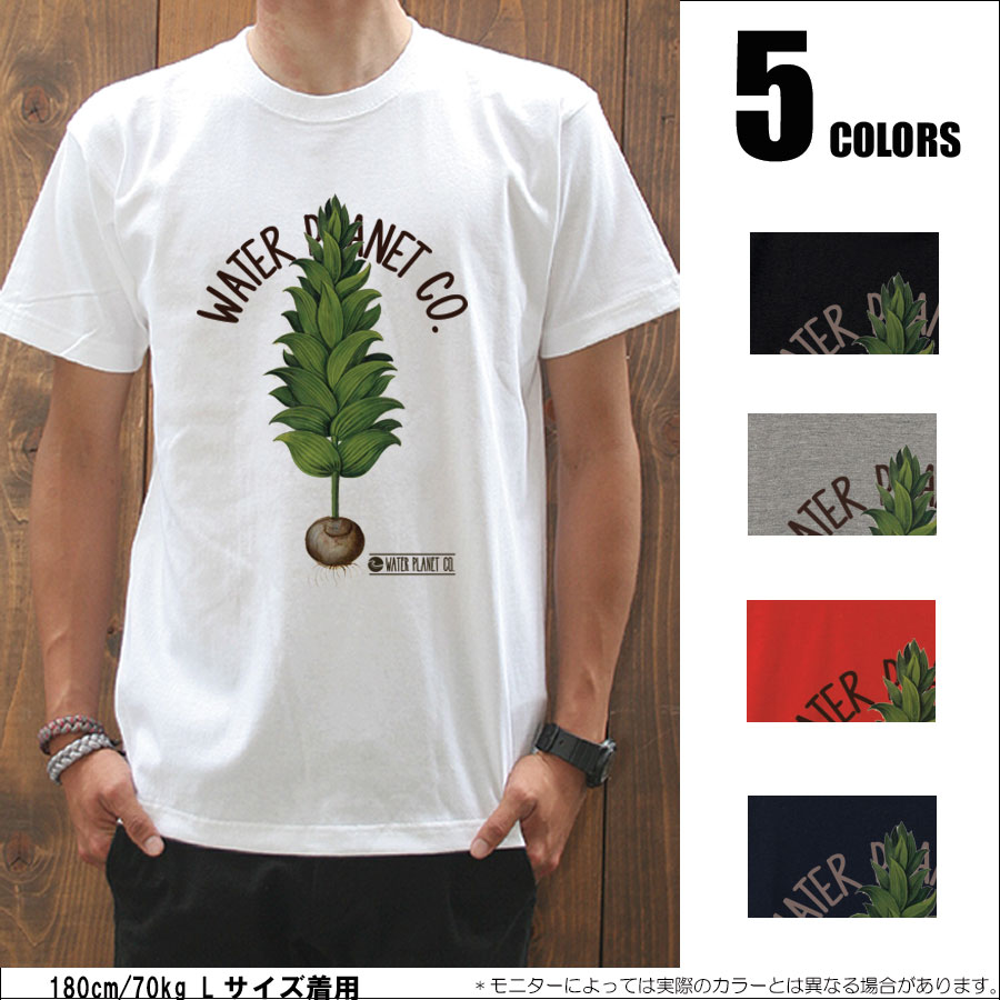 【Tシャツパラダイス・まとめ買割引・2p5000円送無】【Botanical_Bulb/prd037】【メール便送料無料】半袖 Tシャツ s/s/