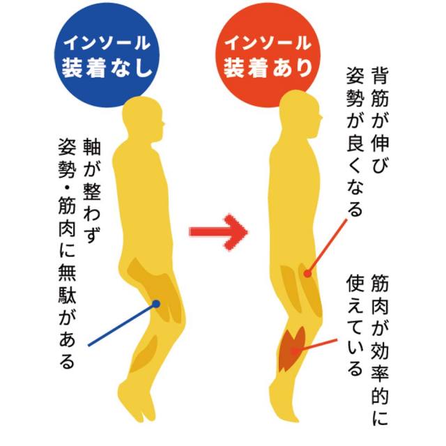 BMZビーエムゼットASHI-TORESPORTSアシトレスポーツASHITORESPORTS