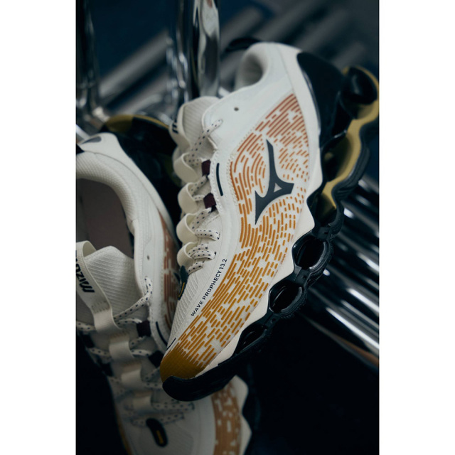 MIZUNOミズノWAVEPROPHECY13.2ウエーブプロフェシー13.2D1GA260H02