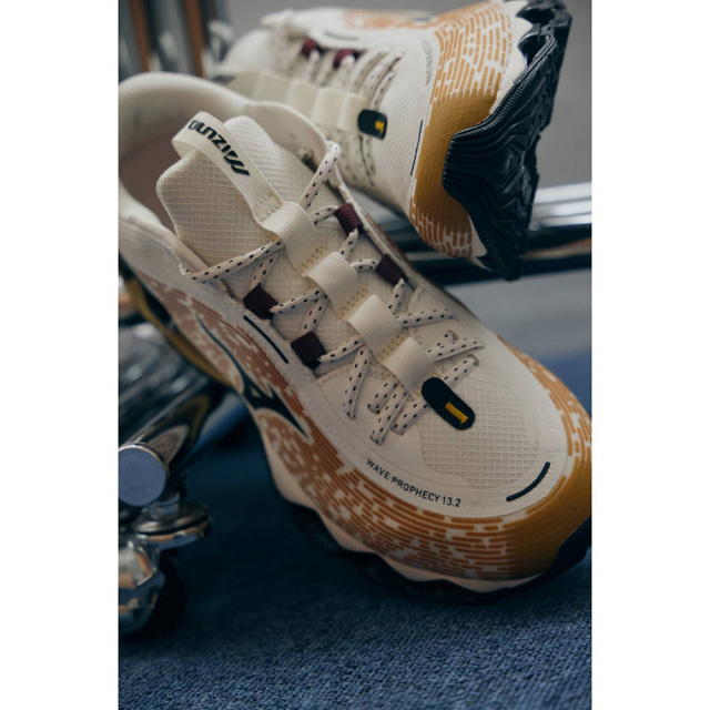 MIZUNOミズノWAVEPROPHECY13.2ウエーブプロフェシー13.2D1GA260H02