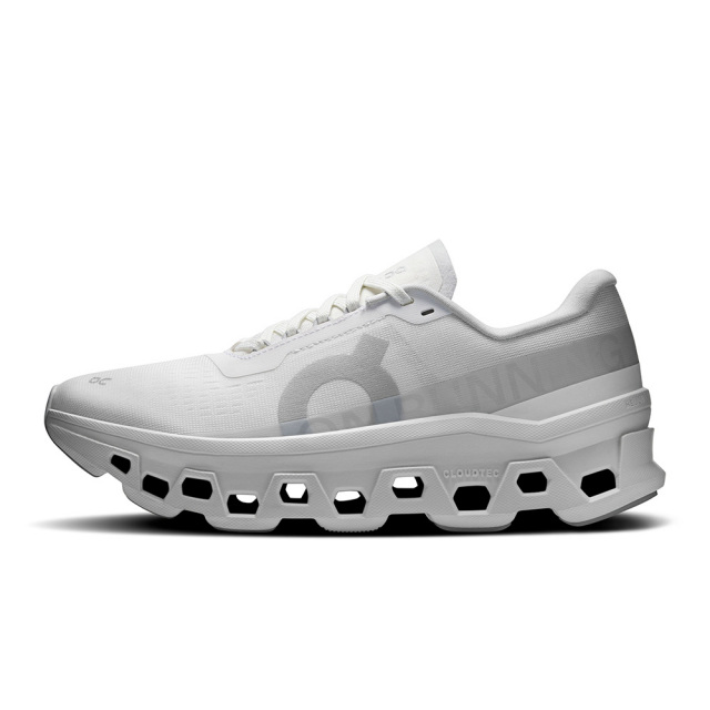 OnシューズオンCloudmonster1クラウドモンスター13WF10491043