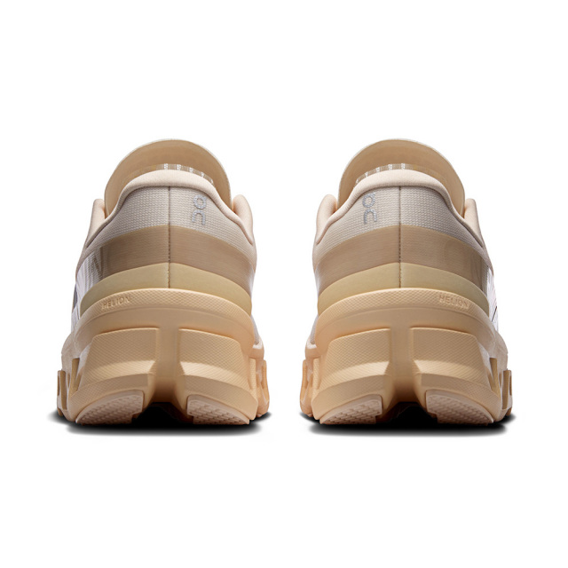 OnシューズオンCloudmonster1クラウドモンスター13WF30484910