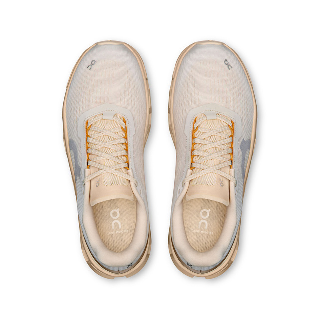 OnシューズオンCloudmonster1クラウドモンスター13WF30484910