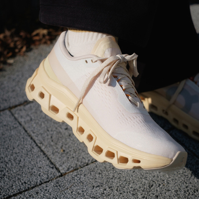 OnシューズオンCloudmonster1クラウドモンスター13WF30484910