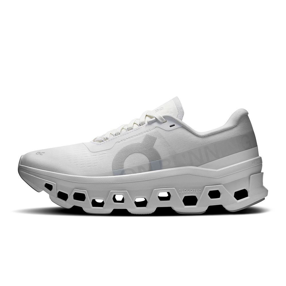 OnシューズオンCloudmonster1クラウドモンスター13WF10491043