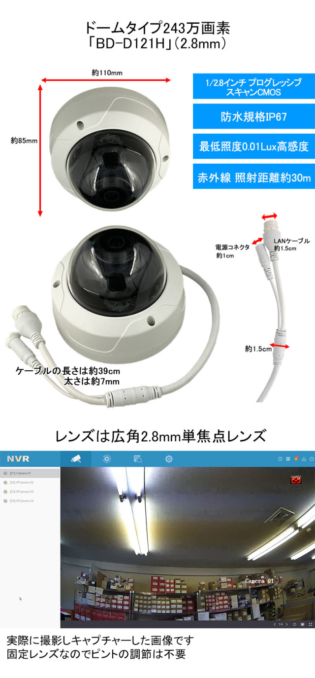 ドーム型屋内用2メガピクセルカメラDC12V/電源重畳式713