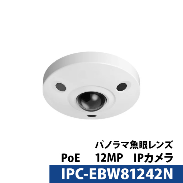 Dahua(ダーファ) 防犯カメラ 屋内屋外 IP 1200万画素 IPC-EBW81242N カメラ電源不要 ドーム型 パノラマ魚眼レンズ1.85mm ロゴなし 無地箱
