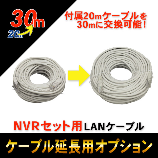 セットオプション CAT5E 4P UTP 屋内パッチコードケーブル LANケーブル延長 （20mから30mへ延長）