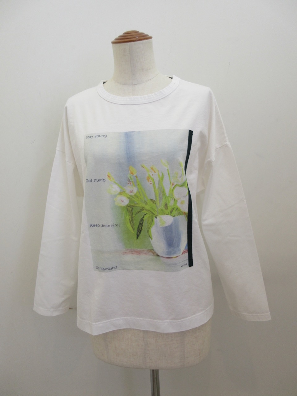 KEI Hayama PLUS(ケイハヤマプリュス)  ジュンイイダイラストカラープリント×ギザブレンド天竺長袖Tシャツ：オフホワイト