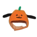 pumpkinhat.jpg