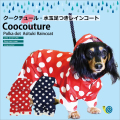rain_4paw_0.jpg