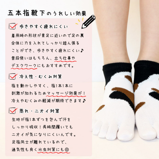 レディース靴下