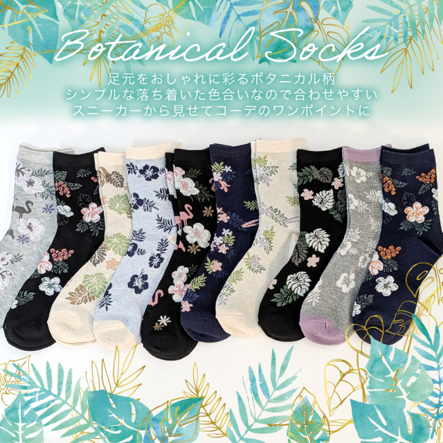 レディース靴下