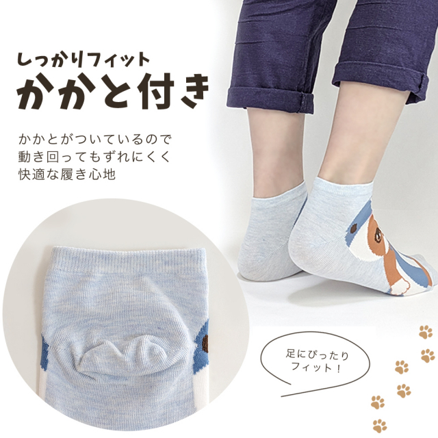 レディース靴下