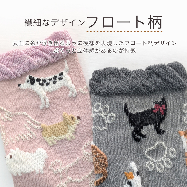 レディース靴下