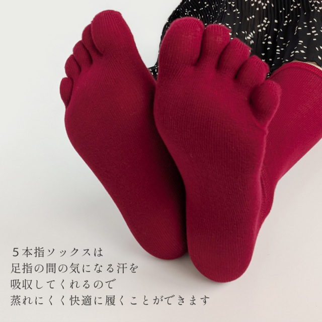 レディース靴下