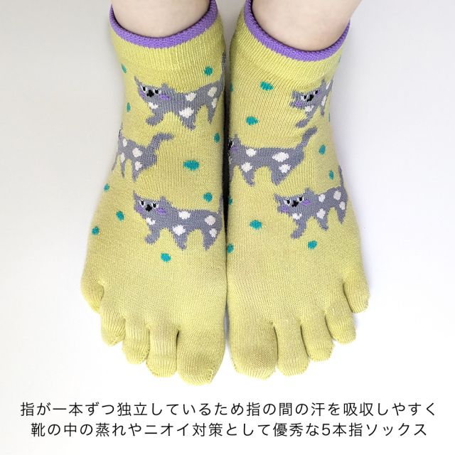 レディース靴下