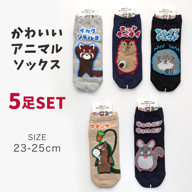 レディース靴下