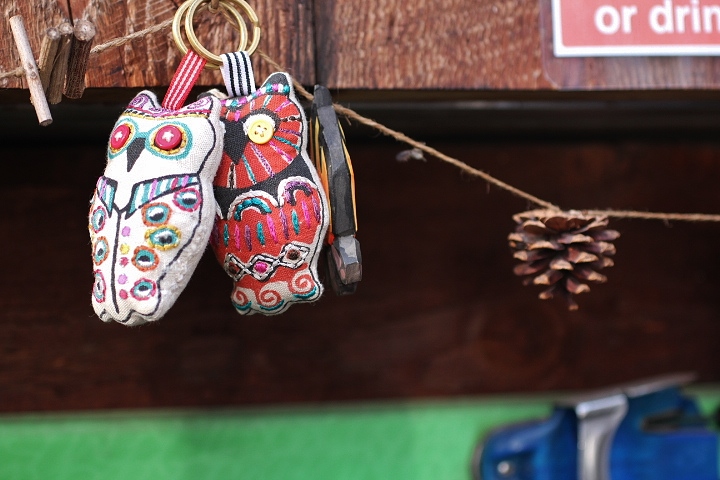 OWL Key Ring