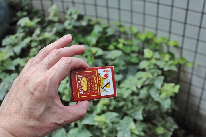 Small Playng Cards