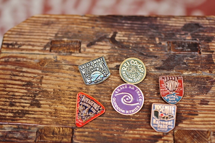 National Parks Pin