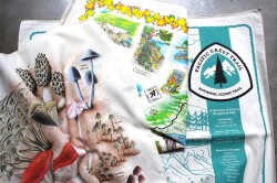 The Printed Image Bandana