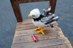 AUDUBON BIRD CALL