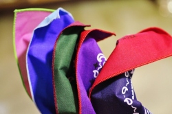 Reversible Bandanna