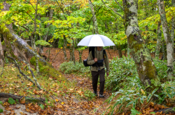 EVERNEW　SHADOW Master