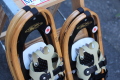 Guidetti Winter Rover Snowshoes
