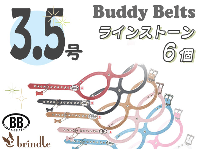 バディーベルト　サイズ3.5号　ラインストーン付き