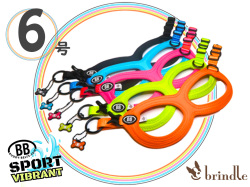 BB SPORT　Vibrant 6号