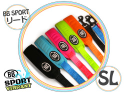 BB SPORT　Vibrant　リード