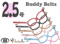 2.5号サイズ BUDDY BELTS バディーベルト バディベルト ハーネス | brindle