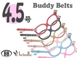 バディーベルト　サイズ4.5号